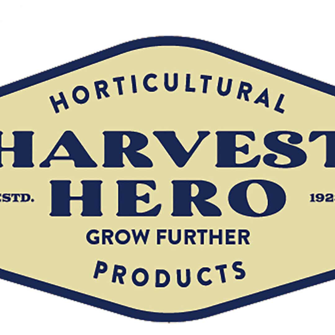 How to Use Perlite to Improve Soil and Grow Healthier Plants – Harvest Hero